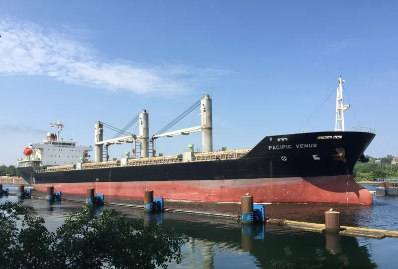PACIFIC VENUS Bulk Carrier IMO 9243253 photo 8