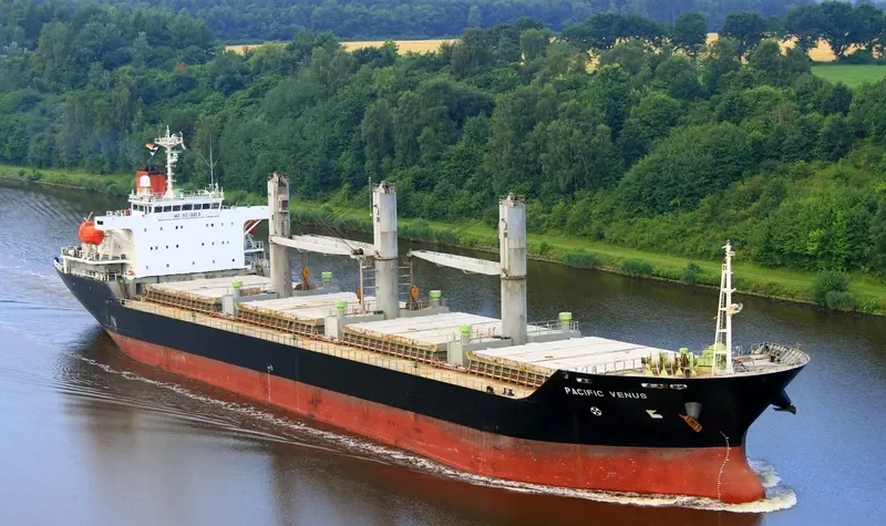 PACIFIC VENUS Bulk Carrier IMO 9243253 photo 9