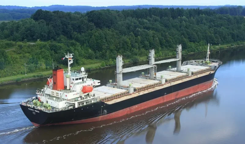 PACIFIC VENUS Bulk Carrier IMO 9243253 photo 10