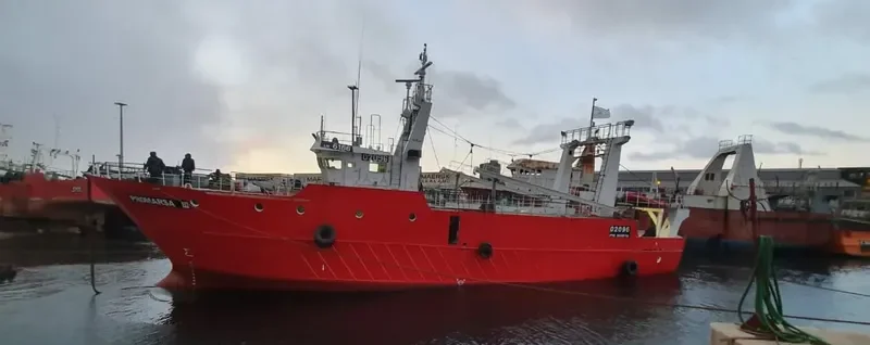PROMARSA III General Cargo IMO 9243368