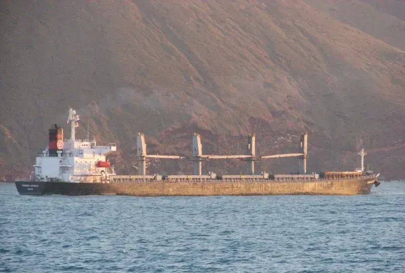 CHENNAI SELVAM Bulk Carrier IMO 9243459 photo 2