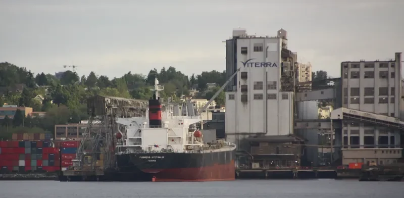 CHENNAI SELVAM Bulk Carrier IMO 9243459 photo 3