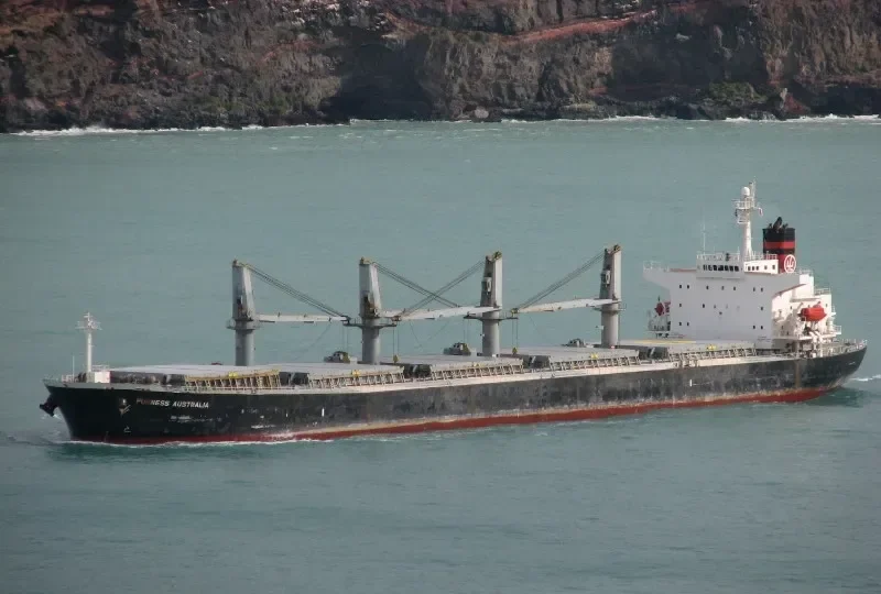 CHENNAI SELVAM Bulk Carrier IMO 9243459 photo 7