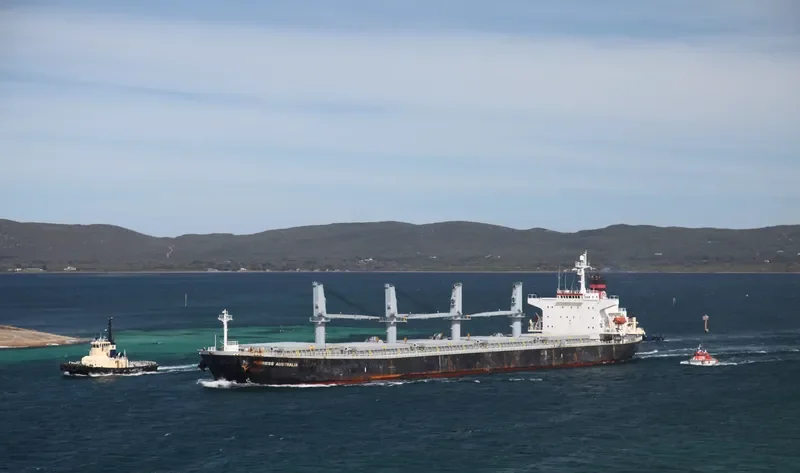 CHENNAI SELVAM Bulk Carrier IMO 9243459 photo 8