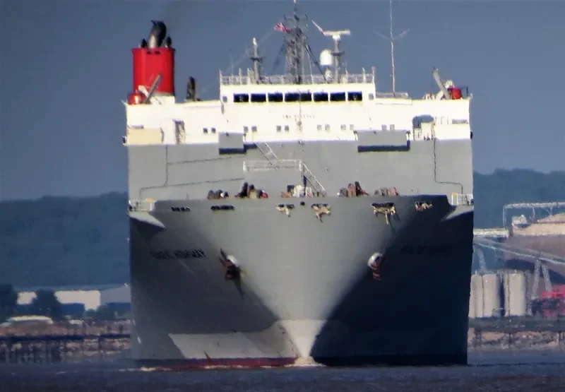 BALTIC HIGHWAY General Cargo IMO 9243461 photo 8