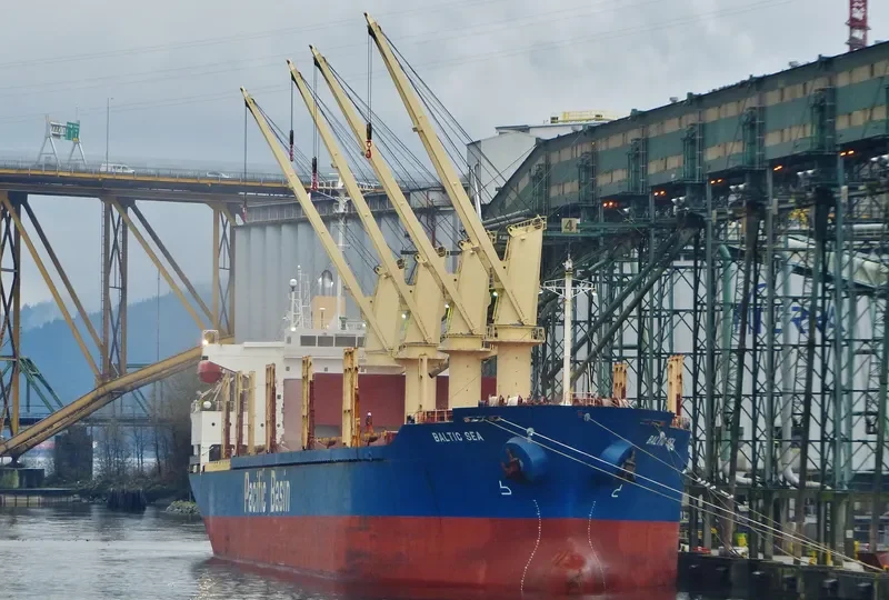 21 LUCKY Bulk Carrier IMO 9243497 photo 6