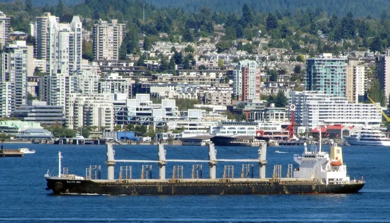21 LUCKY Bulk Carrier IMO 9243497 photo 9