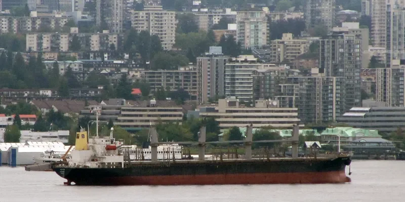 21 LUCKY Bulk Carrier IMO 9243497 photo 10