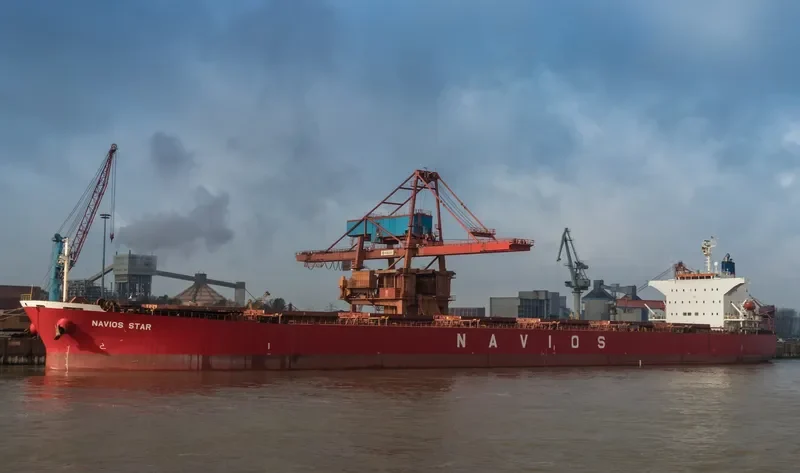LUCK FORTUNE Bulk Carrier IMO 9243502