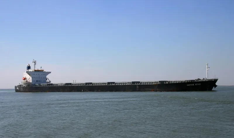 LUCK FORTUNE Bulk Carrier IMO 9243502 photo 2