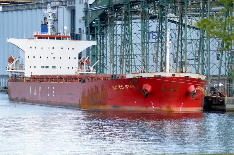 LUCK FORTUNE Bulk Carrier IMO 9243502 photo 3