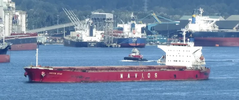 LUCK FORTUNE Bulk Carrier IMO 9243502 photo 4