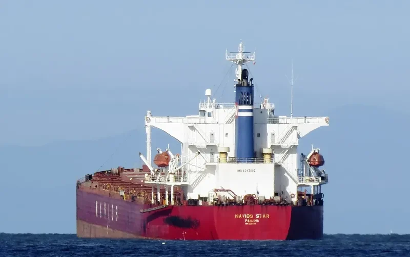 LUCK FORTUNE Bulk Carrier IMO 9243502 photo 5