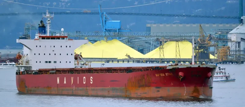 LUCK FORTUNE Bulk Carrier IMO 9243502 photo 6