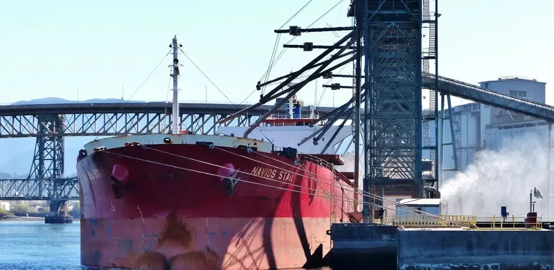 LUCK FORTUNE Bulk Carrier IMO 9243502 photo 9