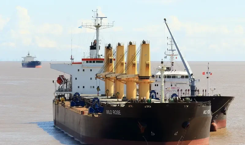 WILD ROSE Bulk Carrier IMO 9243564