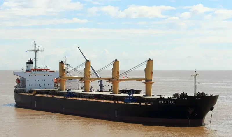 WILD ROSE Bulk Carrier IMO 9243564 photo 2