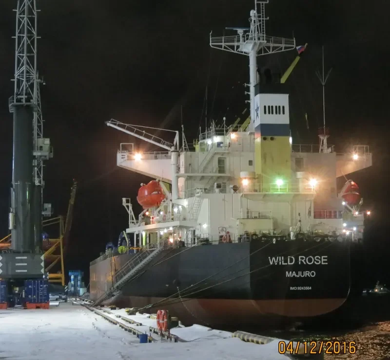 WILD ROSE Bulk Carrier IMO 9243564 photo 5