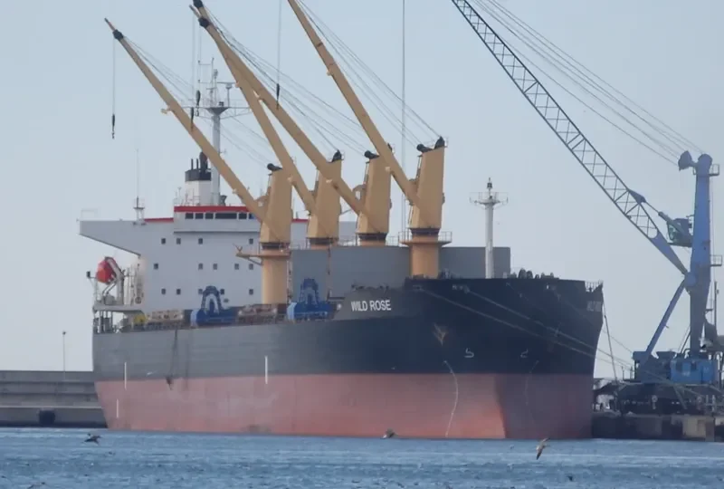 WILD ROSE Bulk Carrier IMO 9243564 photo 7