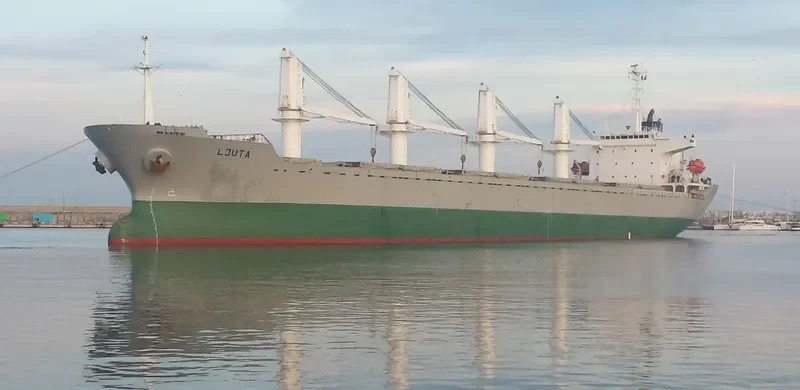 TRUE BROTHER Bulk Carrier IMO 9243693 photo 5