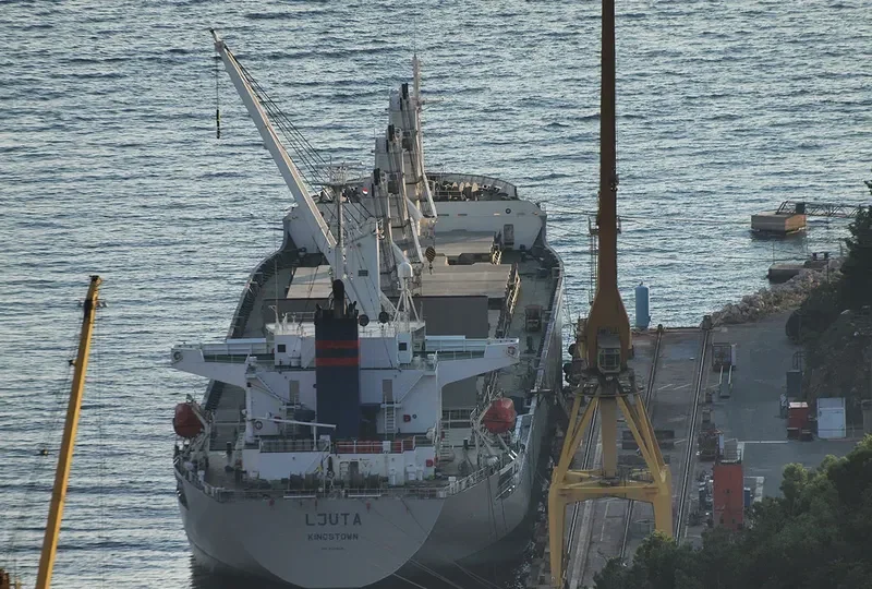 TRUE BROTHER Bulk Carrier IMO 9243693 photo 7