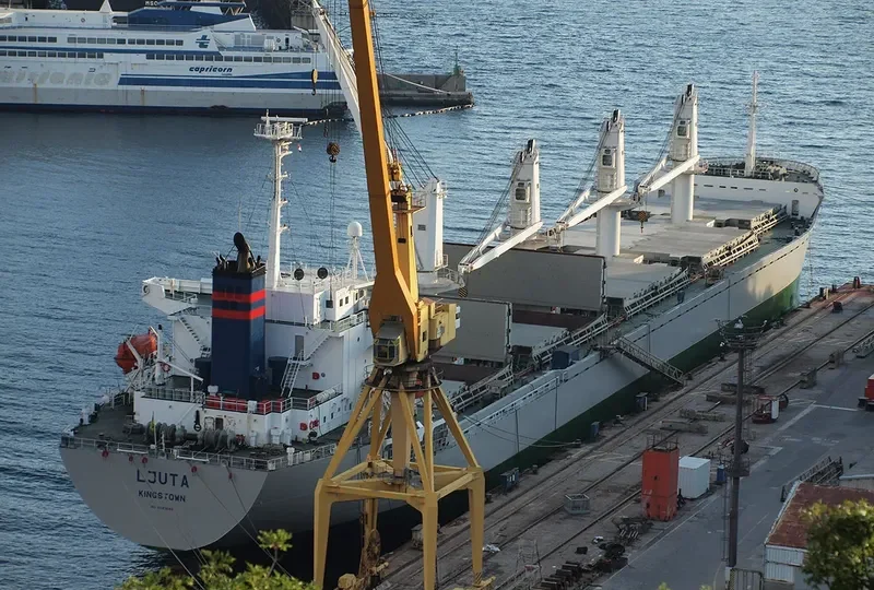 TRUE BROTHER Bulk Carrier IMO 9243693 photo 8