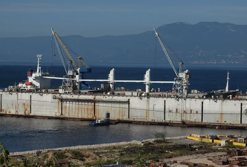 TRUE BROTHER Bulk Carrier IMO 9243693 photo 10
