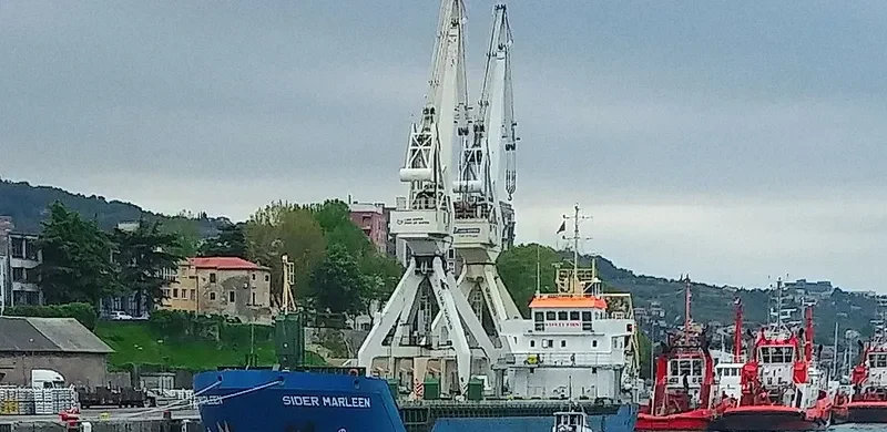 ICS OCEANUS General Cargo IMO 9243899 photo 8