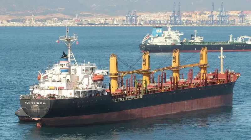 VALERIO Bulk Carrier IMO 9244037 photo 7