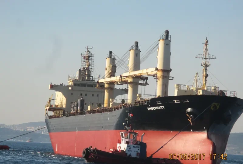 AGIOS PORFYRIOS Bulk Carrier IMO 9244075 photo 2