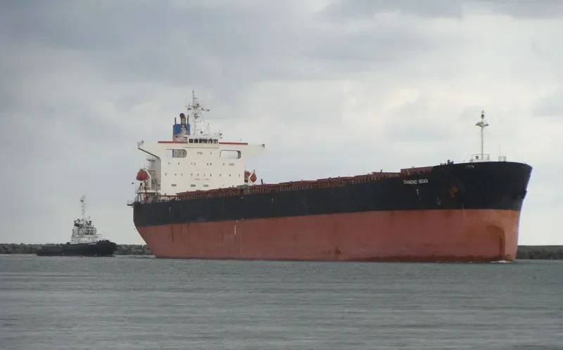 DIAMOND Bulk Carrier IMO 9244219 photo 4