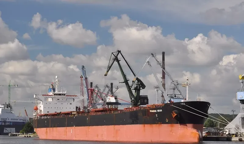 DIAMOND Bulk Carrier IMO 9244219 photo 7