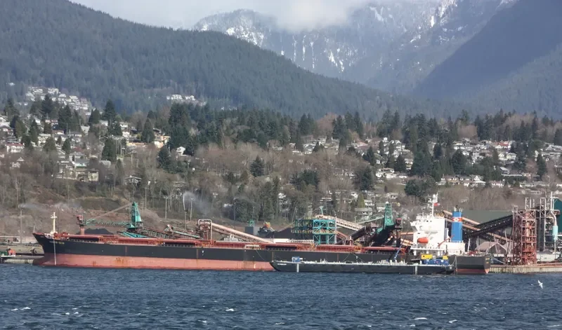 DIAMOND Bulk Carrier IMO 9244219 photo 8