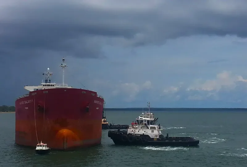 LUCKY JASON Bulk Carrier IMO 9244221
