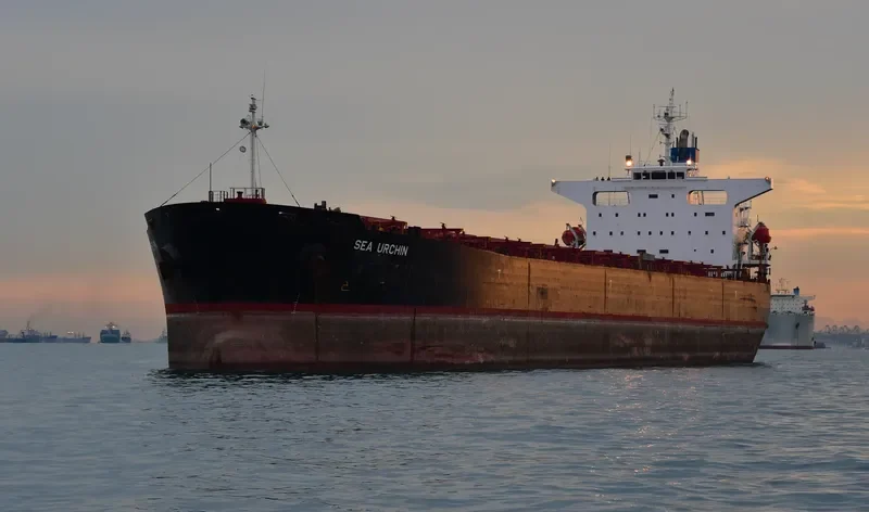AGIOS IOANNIS Bulk Carrier IMO 9244233