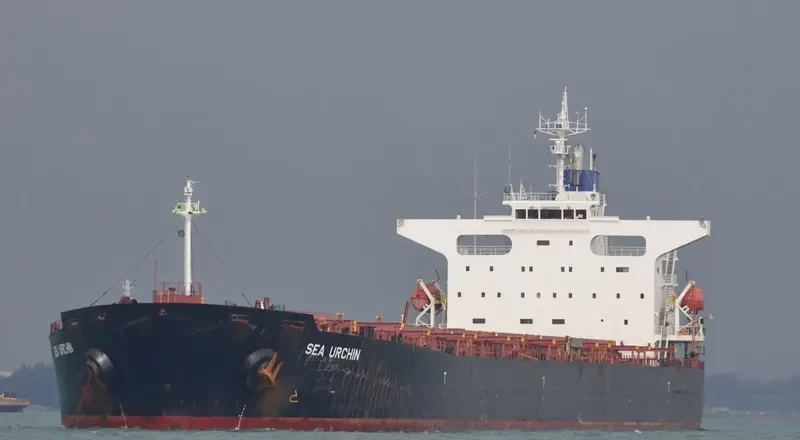 AGIOS IOANNIS Bulk Carrier IMO 9244233 photo 8