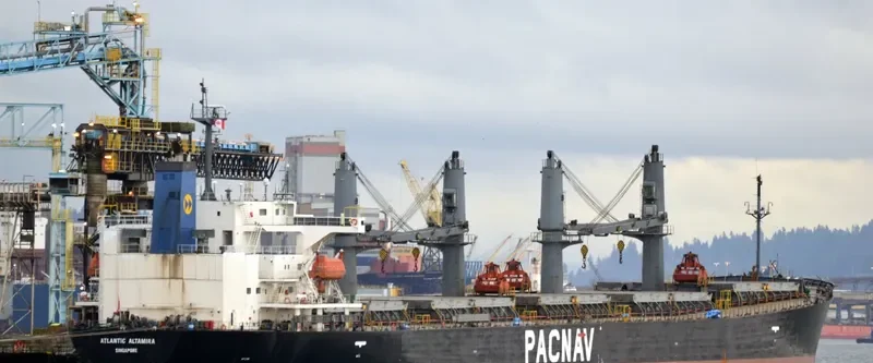 WORLDERA 1 Bulk Carrier IMO 9244245 photo 2