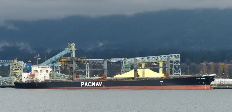 WORLDERA 1 Bulk Carrier IMO 9244245 photo 3