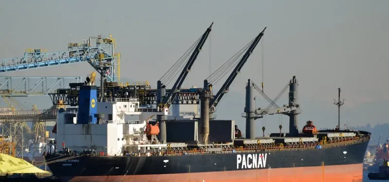 WORLDERA 1 Bulk Carrier IMO 9244245 photo 4