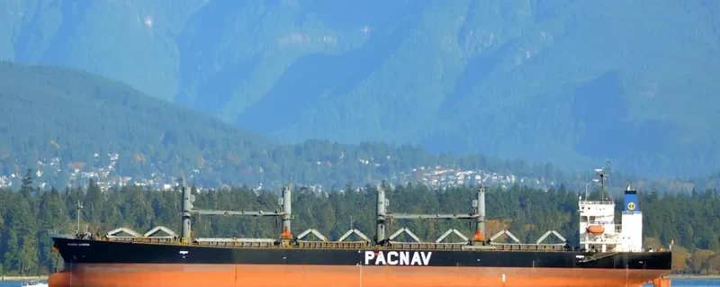 WORLDERA 1 Bulk Carrier IMO 9244245 photo 7