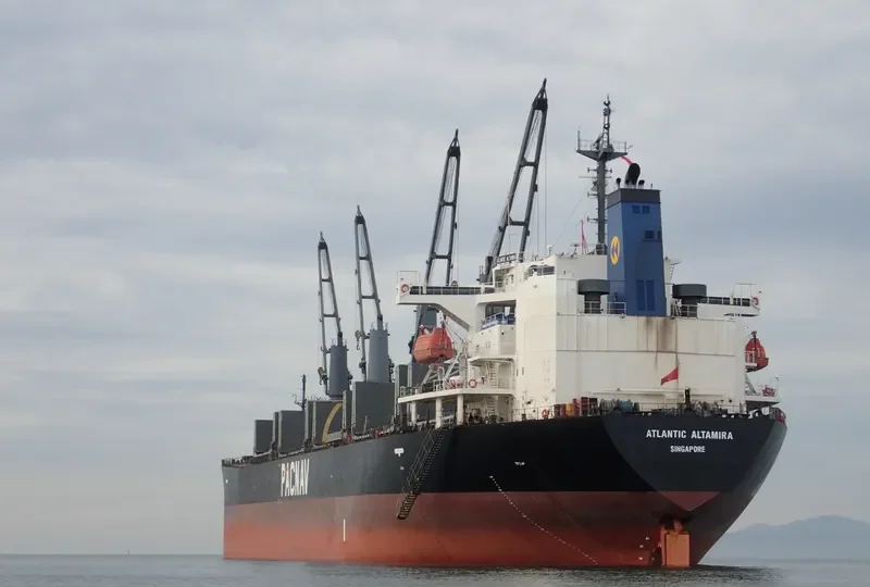 WORLDERA 1 Bulk Carrier IMO 9244245 photo 10