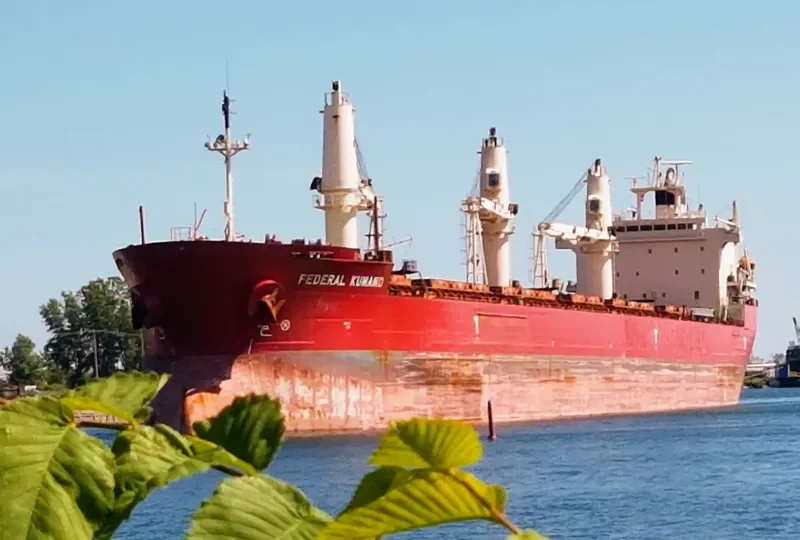 FEDERAL KUMANO Bulk Carrier IMO 9244257