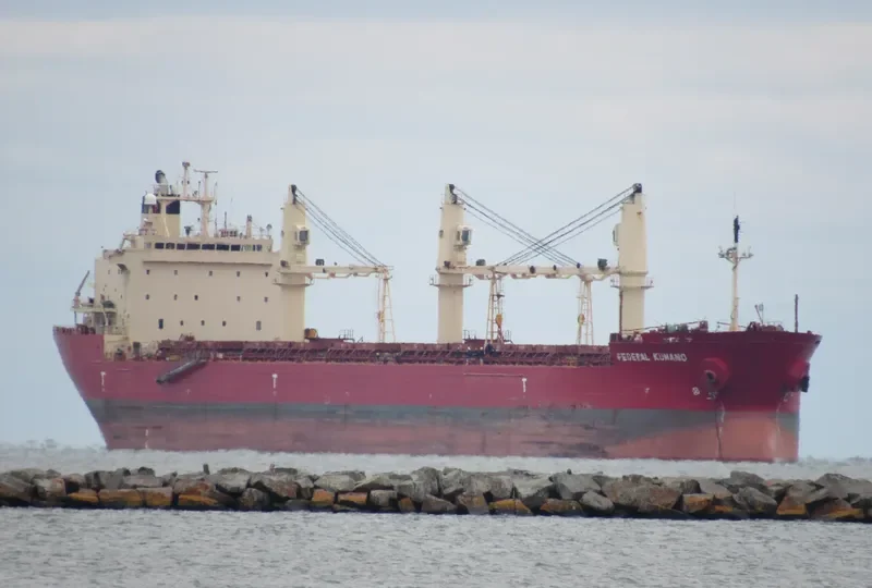 FEDERAL KUMANO Bulk Carrier IMO 9244257 photo 4