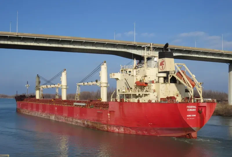 FEDERAL KUMANO Bulk Carrier IMO 9244257 photo 10
