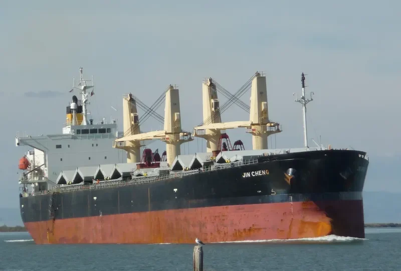 JIN CHENG Bulk Carrier IMO 9244271