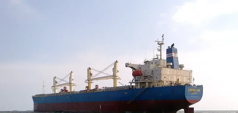LUMOSO JAYA Bulk Carrier IMO 9244283 photo 2