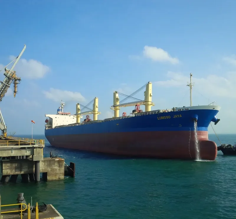 LUMOSO JAYA Bulk Carrier IMO 9244283 photo 3