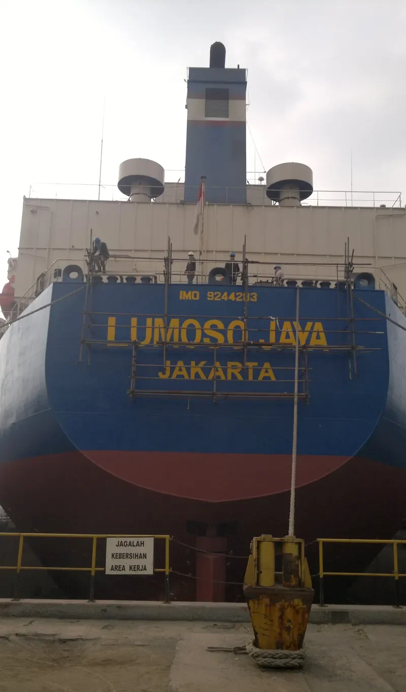 LUMOSO JAYA Bulk Carrier IMO 9244283 photo 4