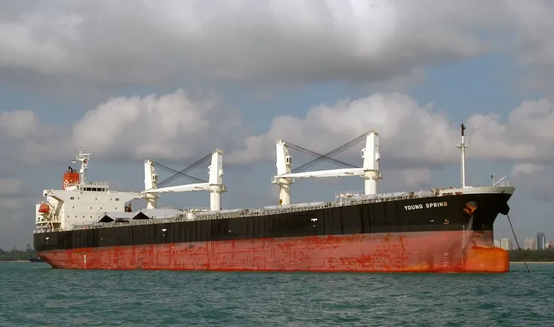 LUMOSO JAYA Bulk Carrier IMO 9244283 photo 9