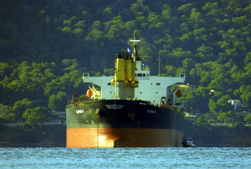 GREAT SHENG WEN Bulk Carrier IMO 9244295